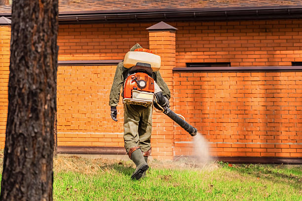 Bed Bug Clearance Verification and Documentation in Ben Avon